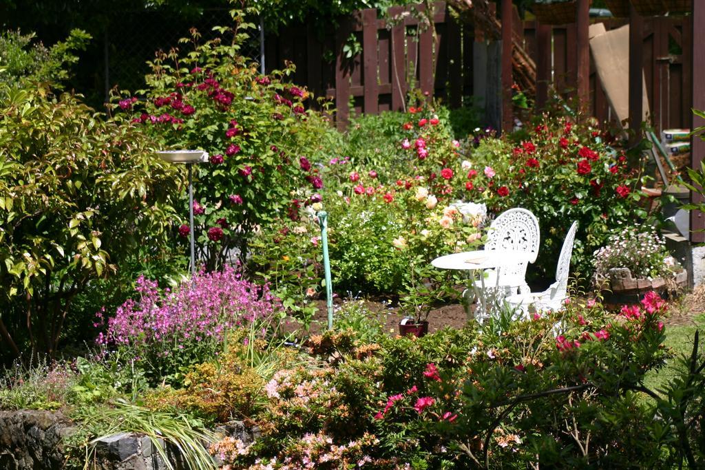 Castlewood Cottage Company Bay Luaran gambar